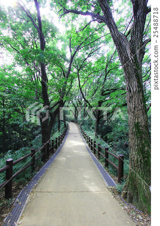 Ikuta Green Area Ikuta Green Area 25488718