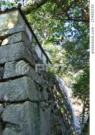 Iwakuni Castle in early autumn 25489330