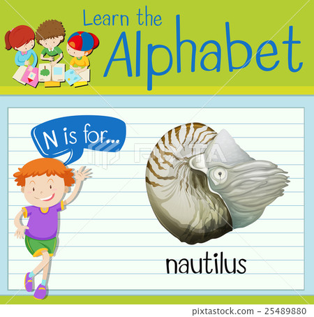 Flashcard letter N is for nautilus 25489880