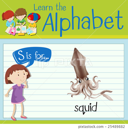 Flashcard letter S is for squid 25489882