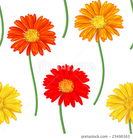 Seamless pattern with colorful gerbera flowers 25490163