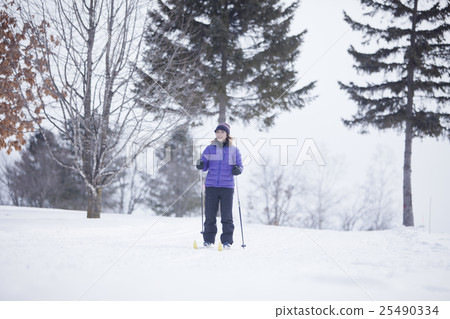越野滑雪 越野滑雪 25490334