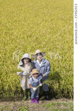 水稻農場家庭 水稻農場家庭 25492913