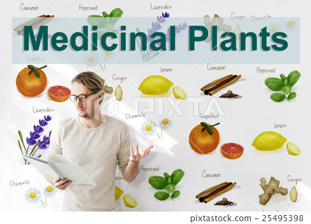Medicinal Plants Natural Cure Herb Herbalism Concept 25495398