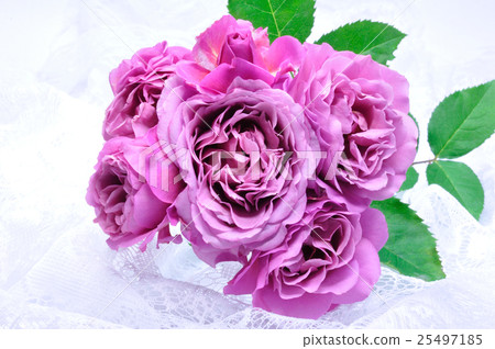 Flowers Flowers 25497185