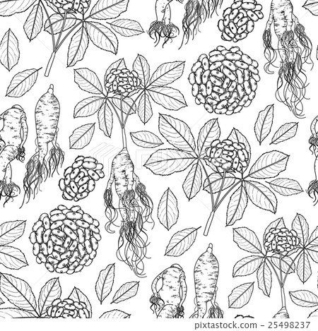 Graphic ginseng pattern 25498237
