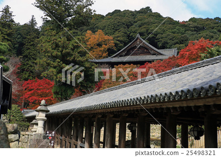 Hasega寺Konoha奈良縣 25498321