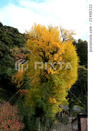 Hasega Temple Konoha Nara Prefecture Hasega Temple Konoha Nara Prefecture 25498322