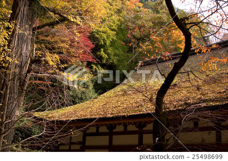 Choyama神社秋葉 Choyama神社秋葉 25498699