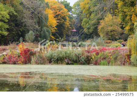 The Chinese Bridge in Olexandria Park 25499575