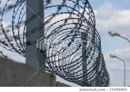 Barbed wire stretched along the brick  walls 25499964