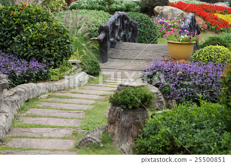 landscape of floral gardening with pathway 25500851