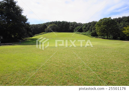 Green landscape Green landscape 25501176