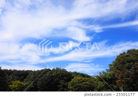 autumn sky autumn sky 25501177