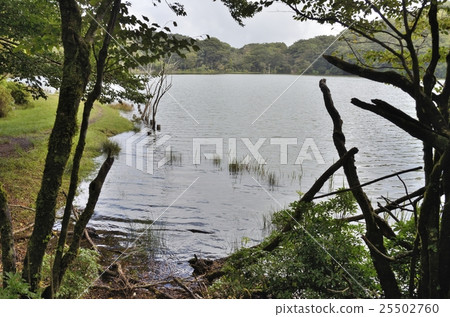 Hatchobanku of Izu city, Shizuoka prefecture Hatchobanku of Izu city, Shizuoka prefecture 25502760
