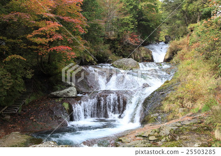 Fall of Yokoya Valley in autumn Hidden waterfall Fall of Yokoya Valley in autumn Hidden waterfall 25503285