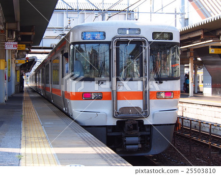 東海道313系列 25503810