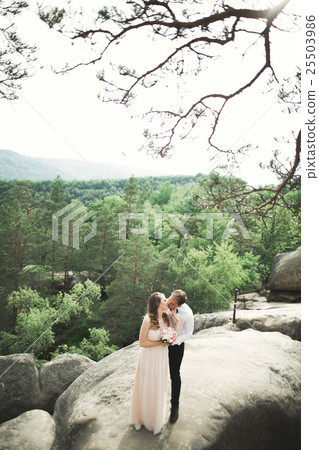 Wedding couple in love kissing and hugging near 25503986