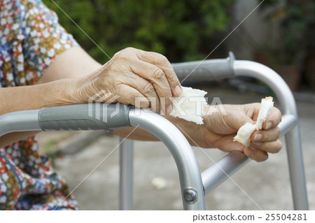 elderly woman holding a slice of bread for dogs 25504281