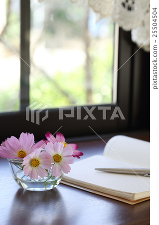 Cosmos Cosmos 25504504