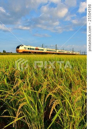 Inago Issue Series 653 Uminetsu主線:Nishikubu - 剩餘 Inago Issue Series 653 Uminetsu主線:Nishikubu - 剩餘 25504598