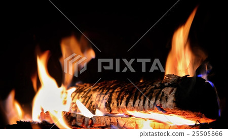 Burning log in fireplace 25505866