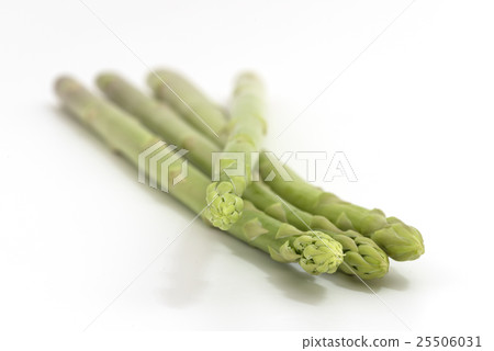 Asparagus (Awkward in Sanuki) 25506031