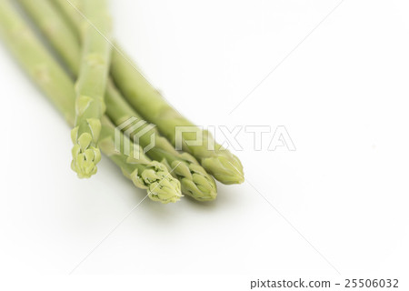 Asparagus (Awkward in Sanuki) 25506032