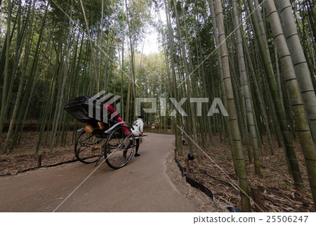 Rickshaw to bamboo grove Rickshaw to bamboo grove 25506247