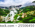 The Valley of Geysers in the summer. Kamchatka 25506450