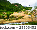 The Valley of Geysers in the summer. Kamchatka 25506452