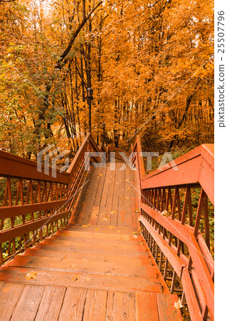Wooden stairs with leaves in the autumn forest Wooden stairs with leaves in the autumn forest 25507796