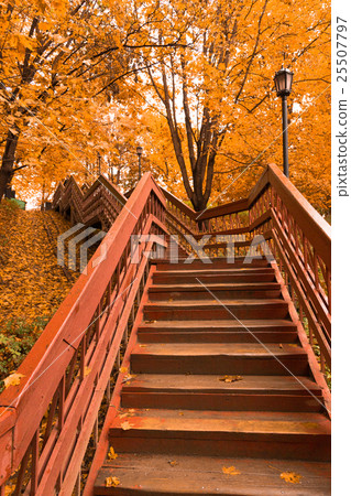 Wooden stairs with leaves in the autumn forest 25507797