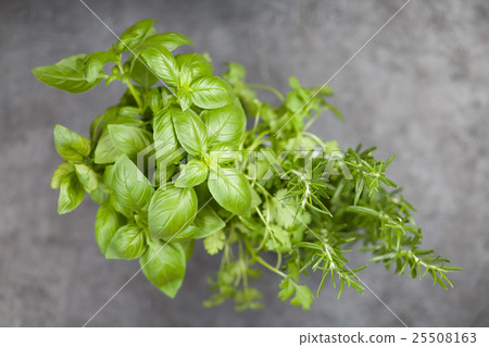 Fresh herbs on grey background 25508163