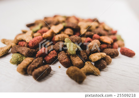dry cat food dry cat food 25509218