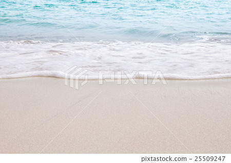 tide tide 25509247