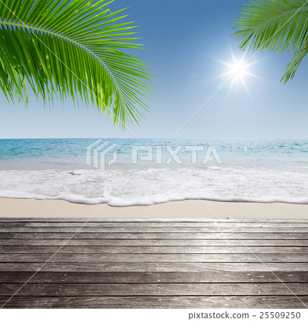 tropic shore tropic shore 25509250
