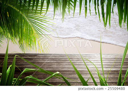 beach beach 25509480