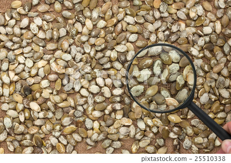 Man studies the pumpkin seeds through Man studies the pumpkin seeds through 25510338