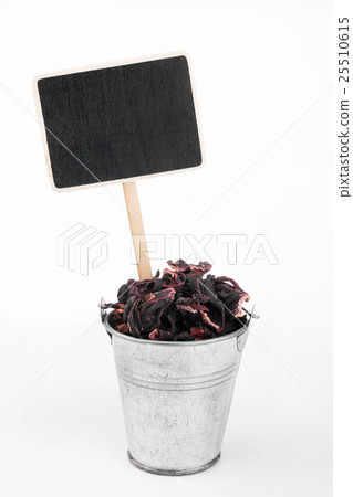 Pointer, price in bucket of hibiscus Pointer, price in bucket of hibiscus 25510615