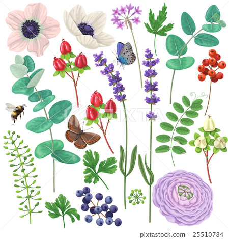 Floral elements set 25510784