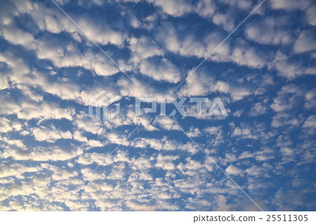 有一些羊 25511305