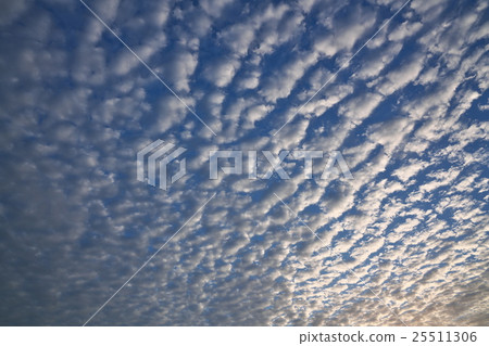 有一些羊 有一些羊 25511306