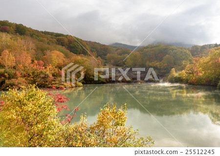 八甲田危機 25512245