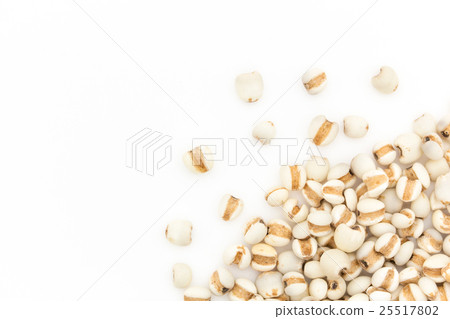 Pearl barley: Job's tears 25517802