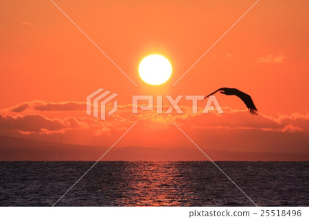 Sunrise of Kunashiri Island 25518496