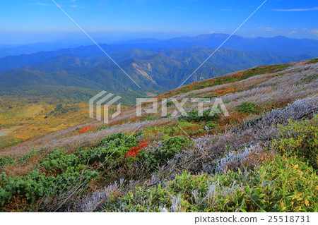 Kurikomayama of autumn leaves 25518731