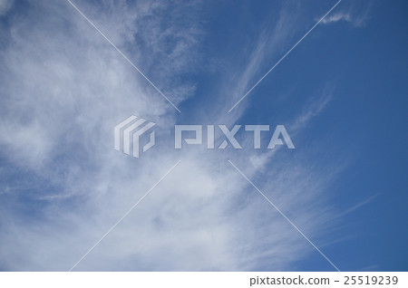 Sky Sky 25519239