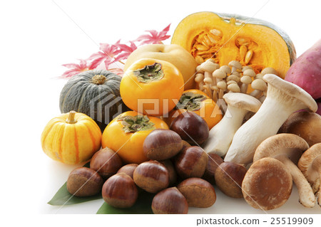 Fall ingredients Fall ingredients 25519909