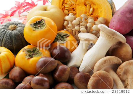 Fall ingredients Fall ingredients 25519912